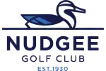 nudgee logo